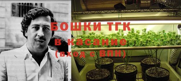 PSILOCYBIN Тайга