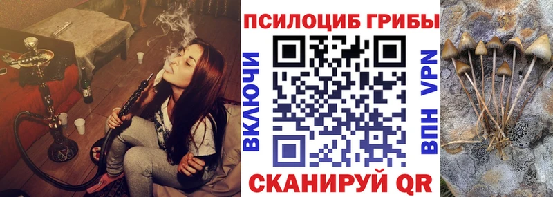 Псилоцибиновые грибы Psilocybe  Лобня 